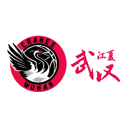 四川女篮