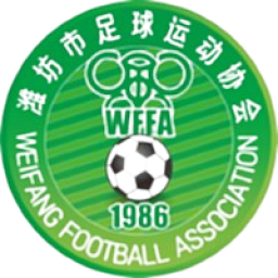 济南历城城发泉盛联合足球队